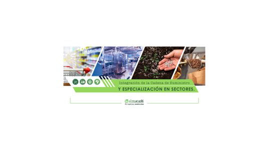 Integración de la cadena de suministro y especialización en sectores